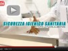 Romani Disinfestazioni: lo spot in HD