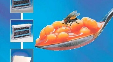 Lampada a cattura per mosche ed insetti volanti