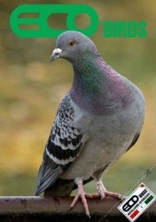 ecobirds
