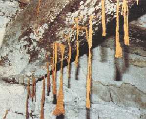 termiti tuboli