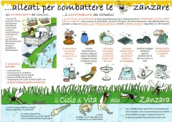 Zanzare in giaRDINO