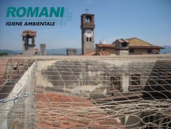 Dissuasione Volatili